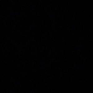 Meet your Posher, Jovany